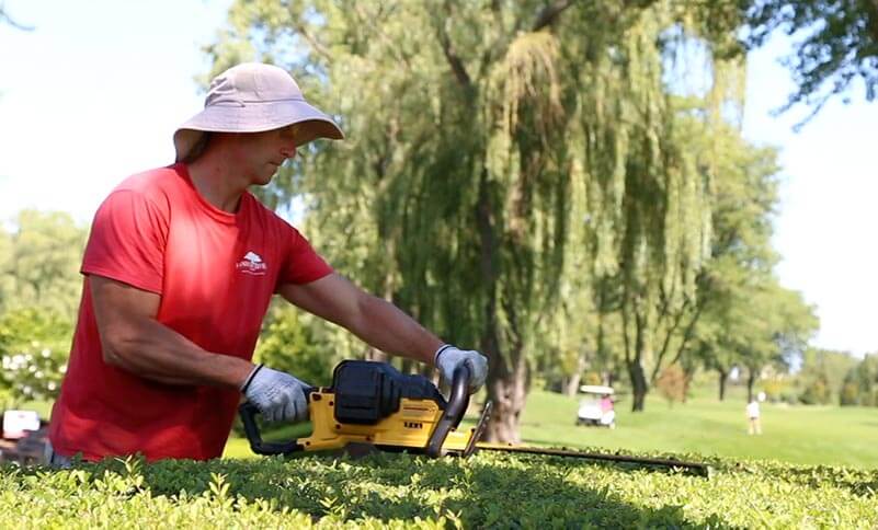 Landscaping Services